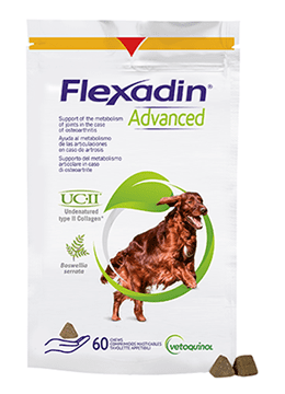 Flexadin 60 stk